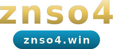znso4 logo